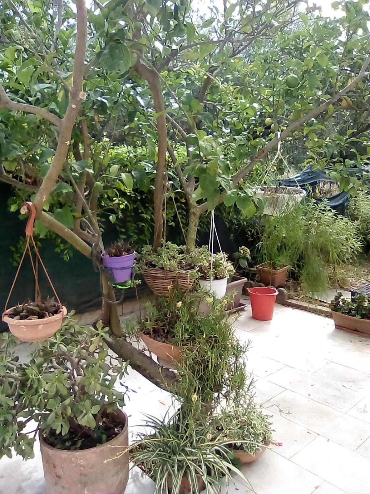 Residenza Casa Nel Verde Apartman Lamezia Terme Kültér fotó